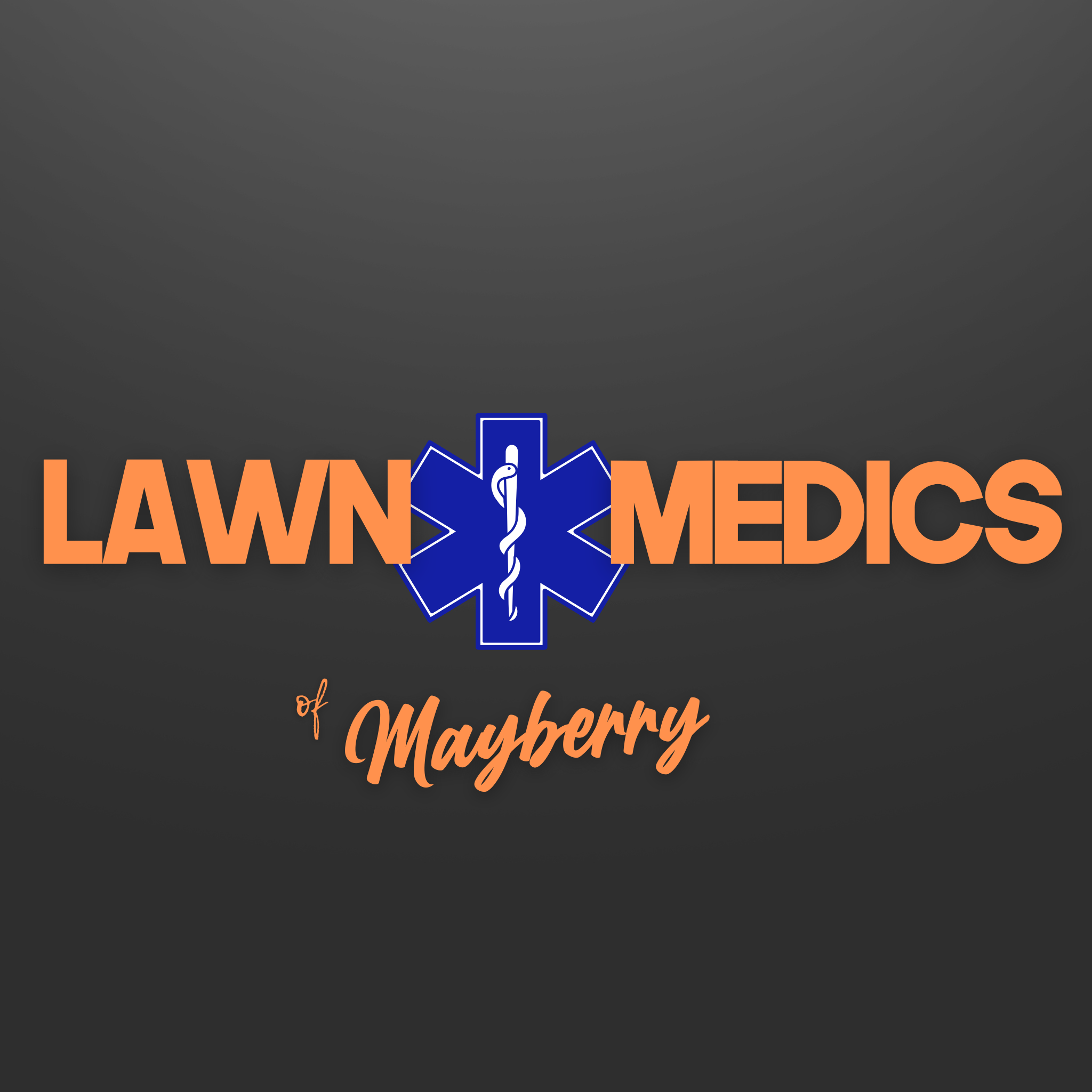 Avatar for Lawn Medics of Mayberry