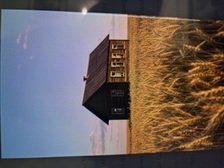 Avatar for WHEATLAND CONTRACTING LLC