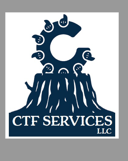 Avatar for CTF Services LLC