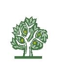 Enviroclean Pressure Washing & Handyman Services logo