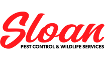 Avatar for Sloan Pest Control