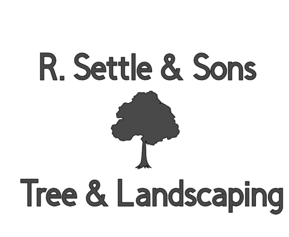 Avatar for R settle and sons tree and landscaping