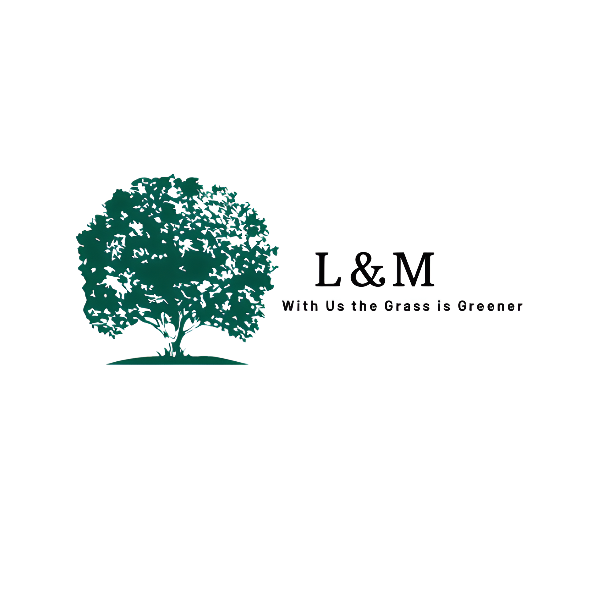 Avatar for L&M landscaping