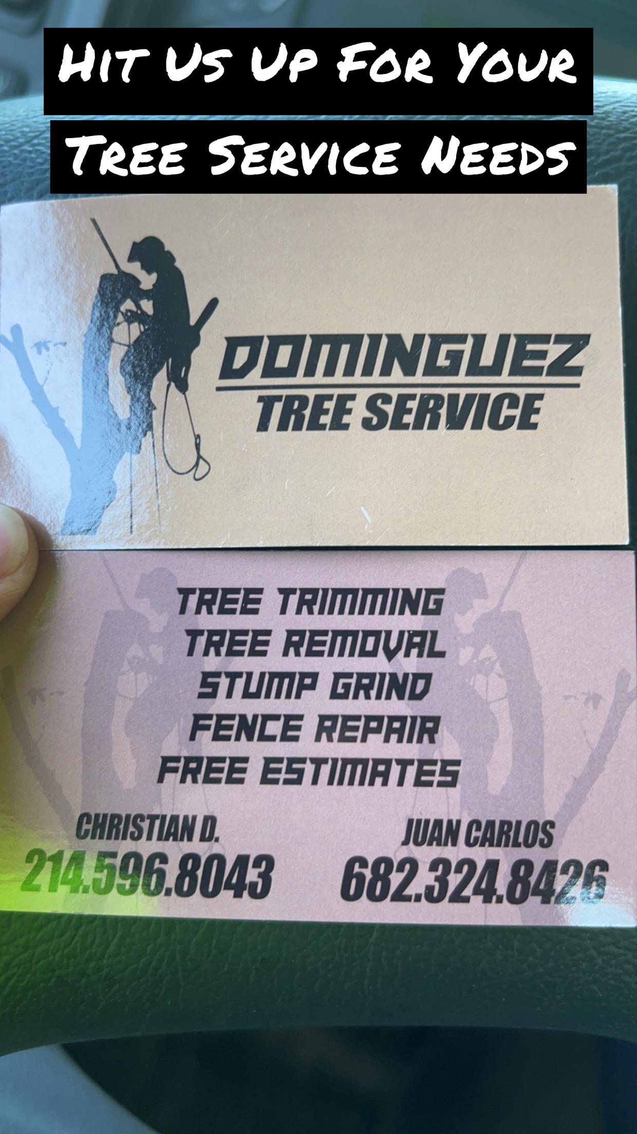 Logo for Dominguez Tree Service