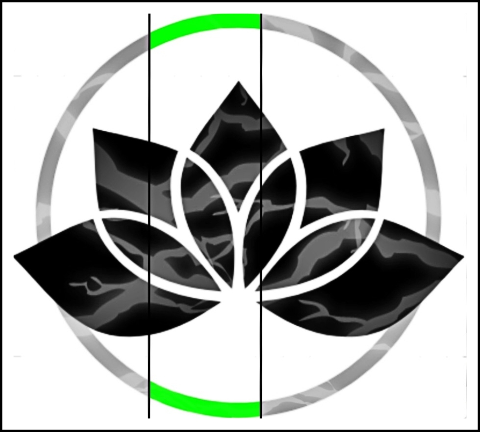 Avatar for ACCURATE EXTERIORS CO