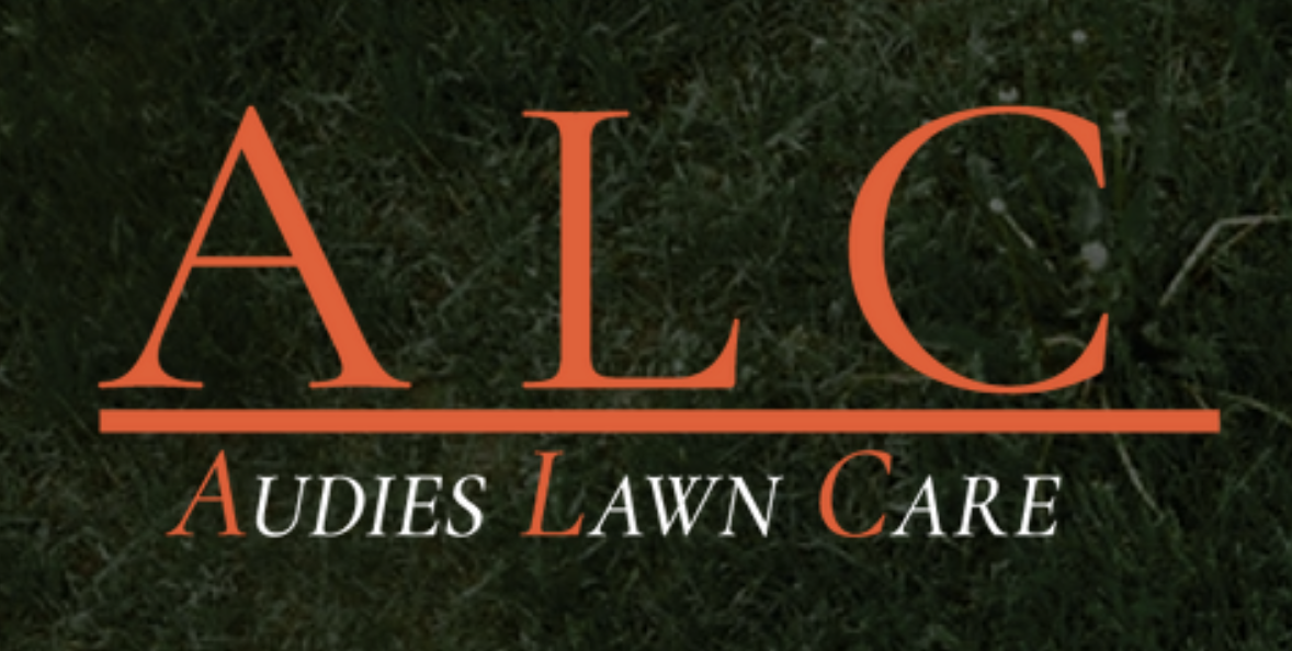 Avatar for Audies Lawn Care