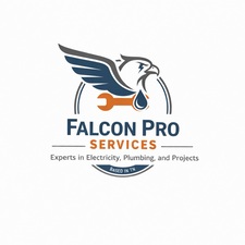 Avatar for US Falcon