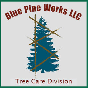 Avatar for Blue Pine Works LLC