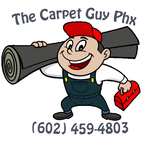 Avatar for thecarpetguyphx