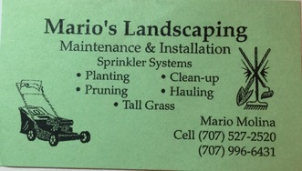 Mario's Landscaping logo