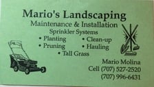 Avatar for Mario's Landscaping