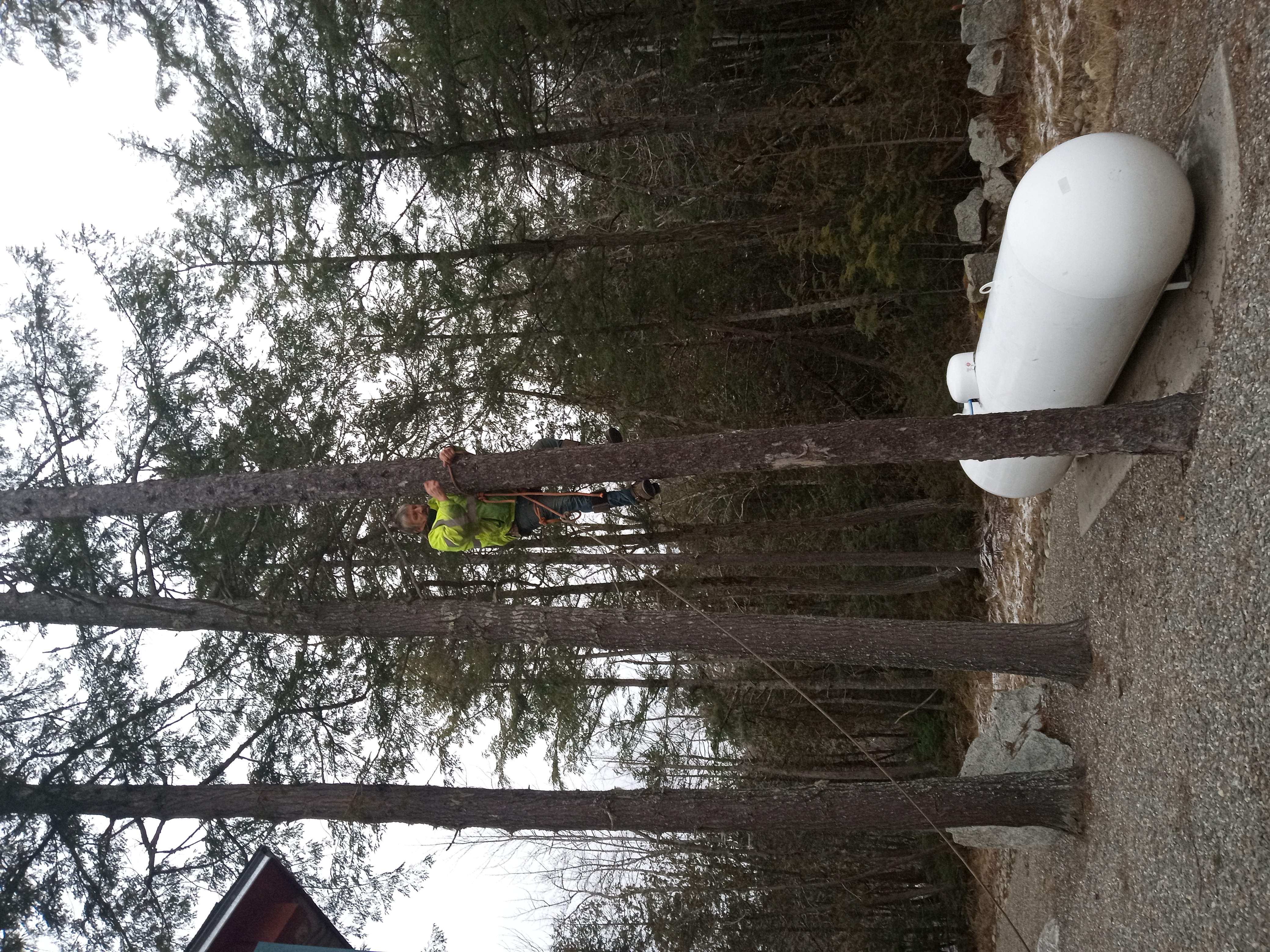 Avatar for Frenchman Bay tree service