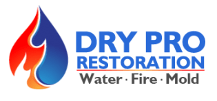 Avatar for Dry Pro Restoration