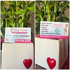 Avatar for Aracely's Cleaning