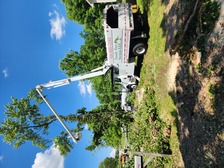 Avatar for Family Tree Services LLC