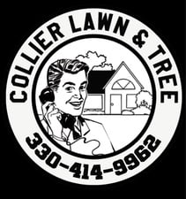 Avatar for Collier Lawn & Tree