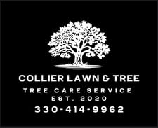 Avatar for Collier Lawn & Tree