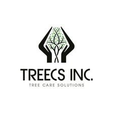 Avatar for Treecs Inc