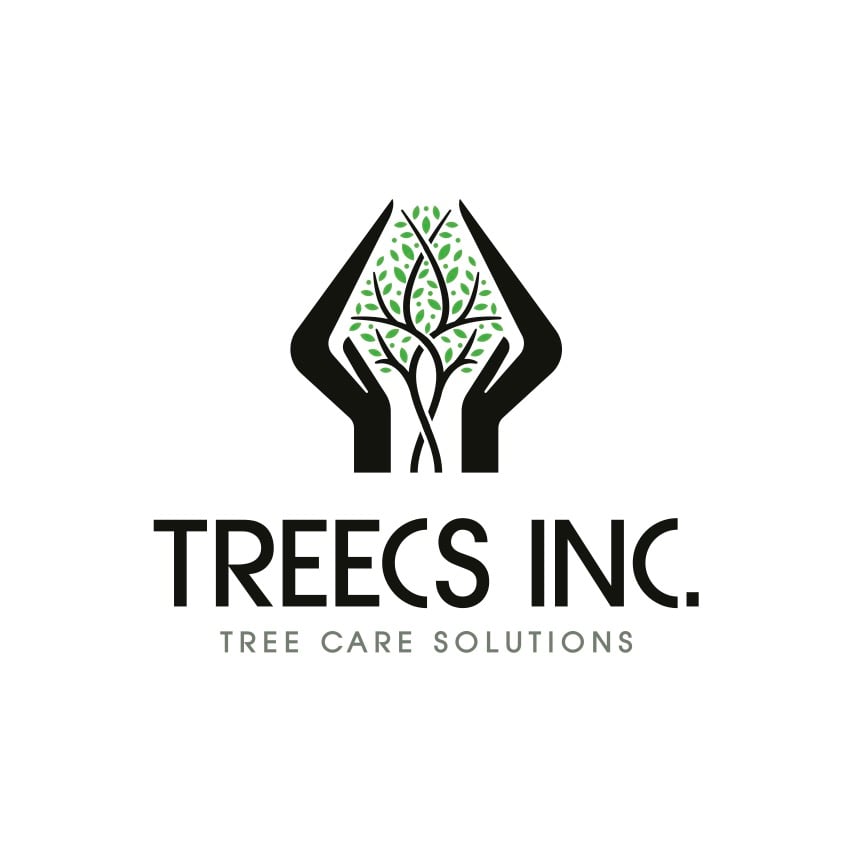 Avatar for Treecs Inc