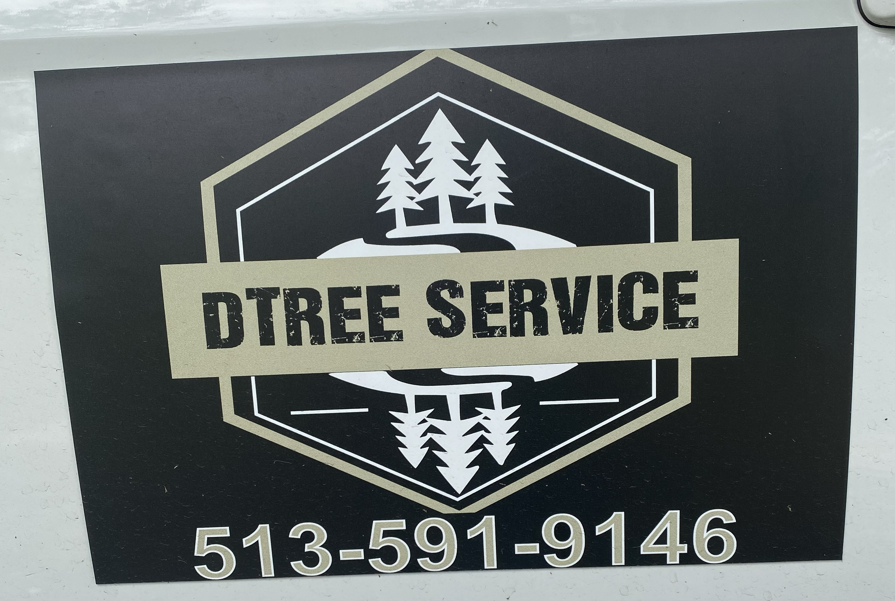 Avatar for DTree service