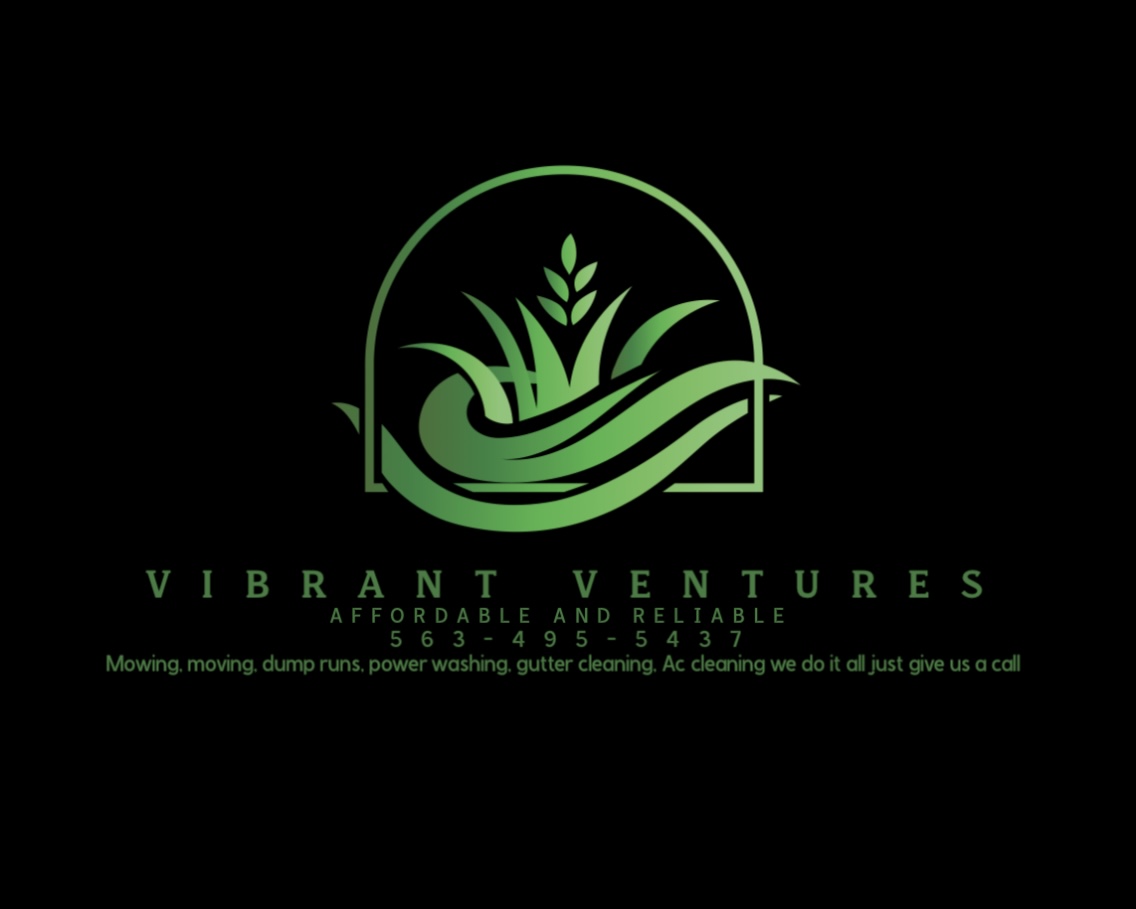 Vibrant ventures llc logo