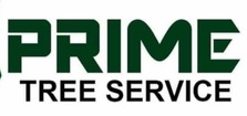Avatar for Prime Tree Service LLC