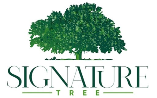 Avatar for Signature Tree Company