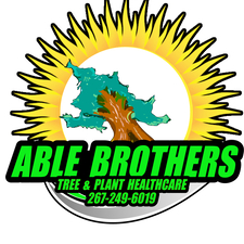 Avatar for Able brother's tree and plant health care