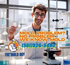 Avatar for The Mold Guy LLC