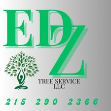 Avatar for EDZ Tree Service
