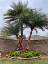Avatar for JA Landscaping