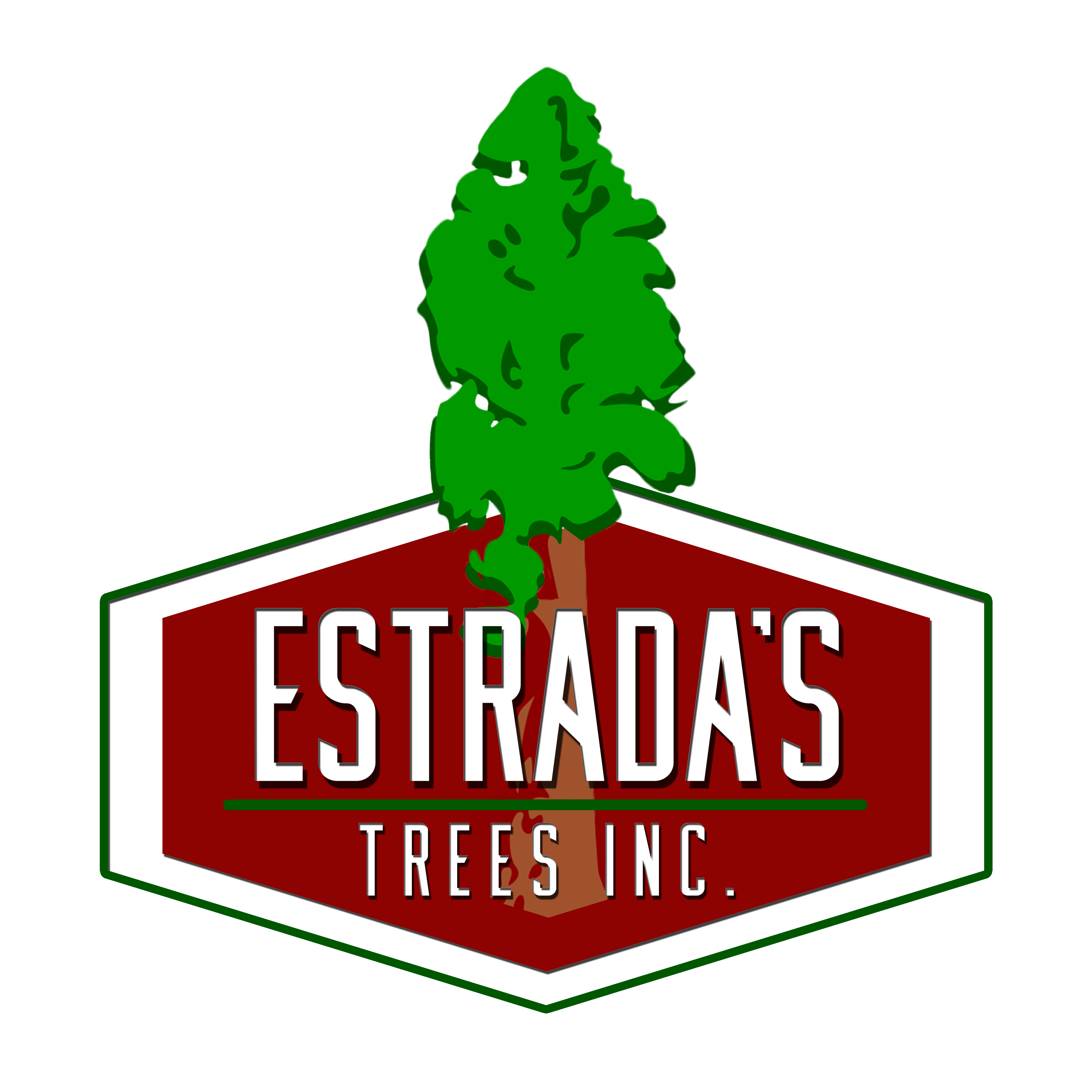 Avatar for Etsrada's Trees Inc.