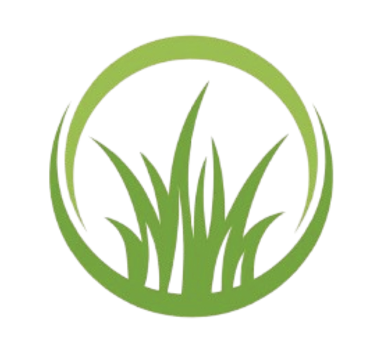 Avatar for MG Lawn Services