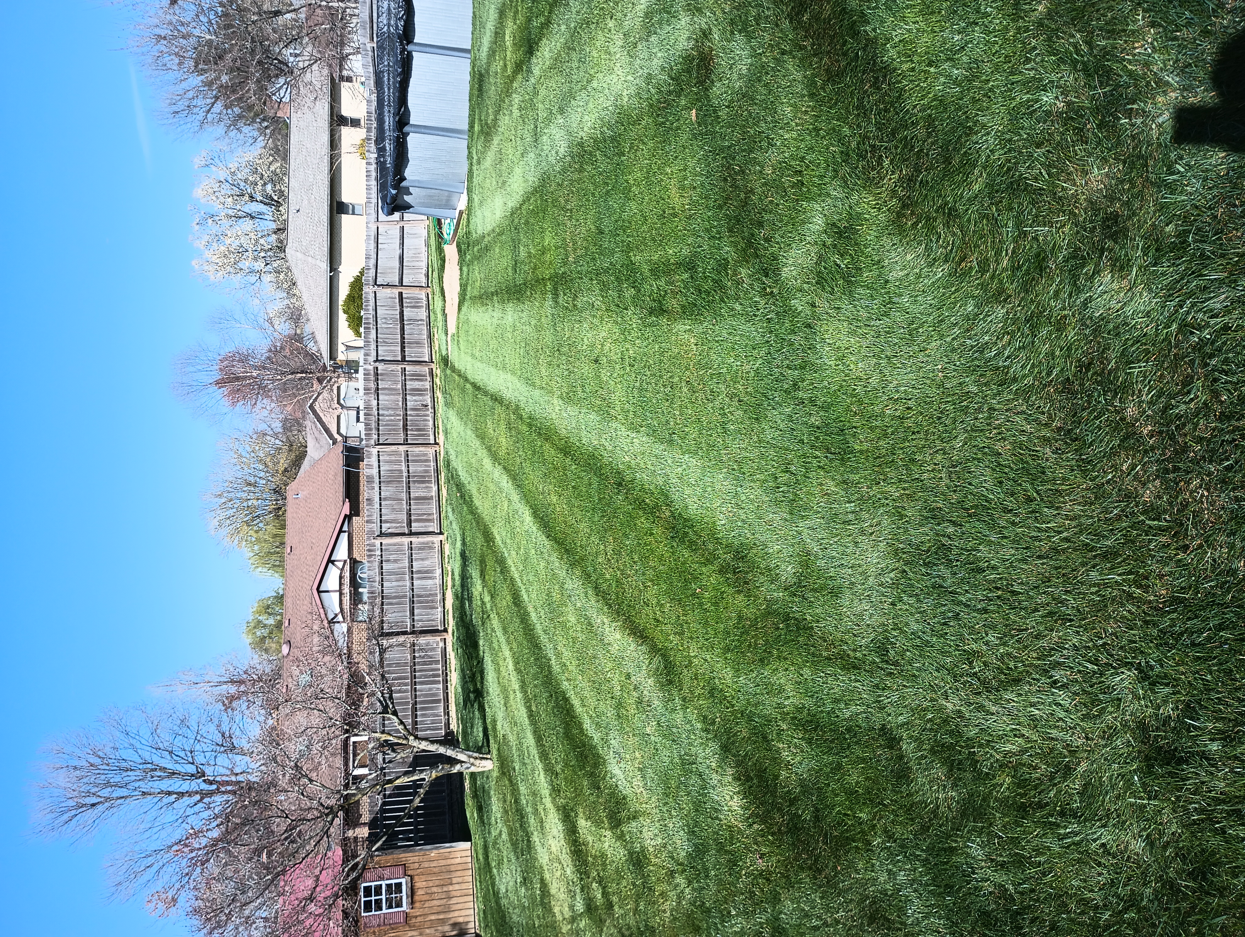 Avatar for TLC lawn care