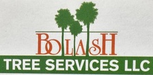 Avatar for BOLASH TREE SERVICES, LLC