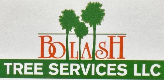 Avatar for BOLASH TREE SERVICES, LLC