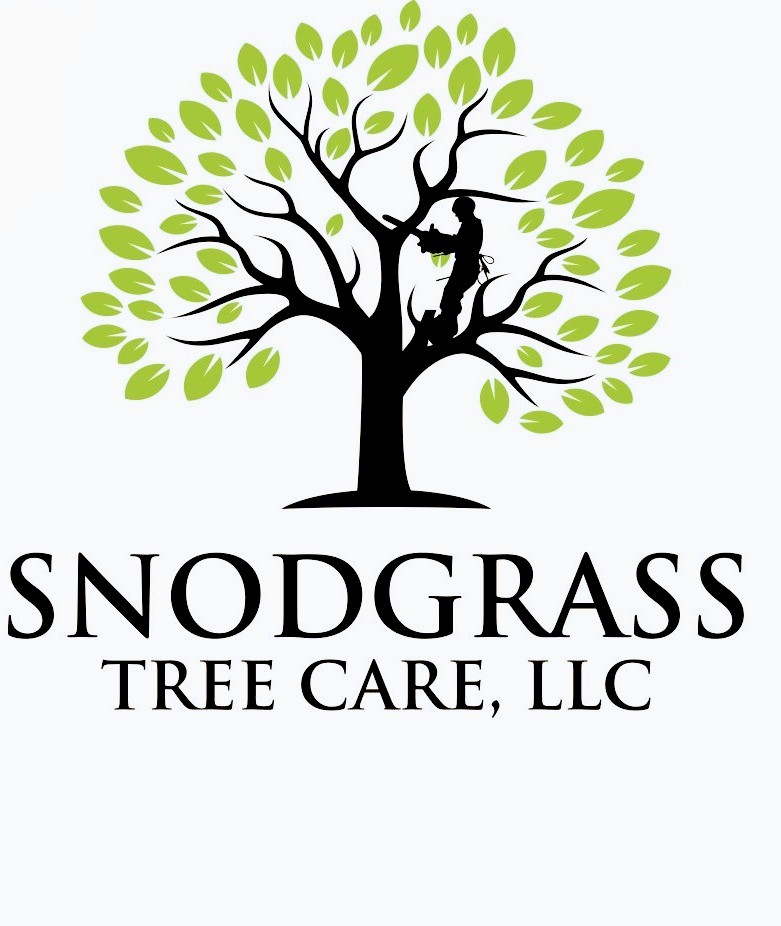 Avatar for Snodgrass Tree Care