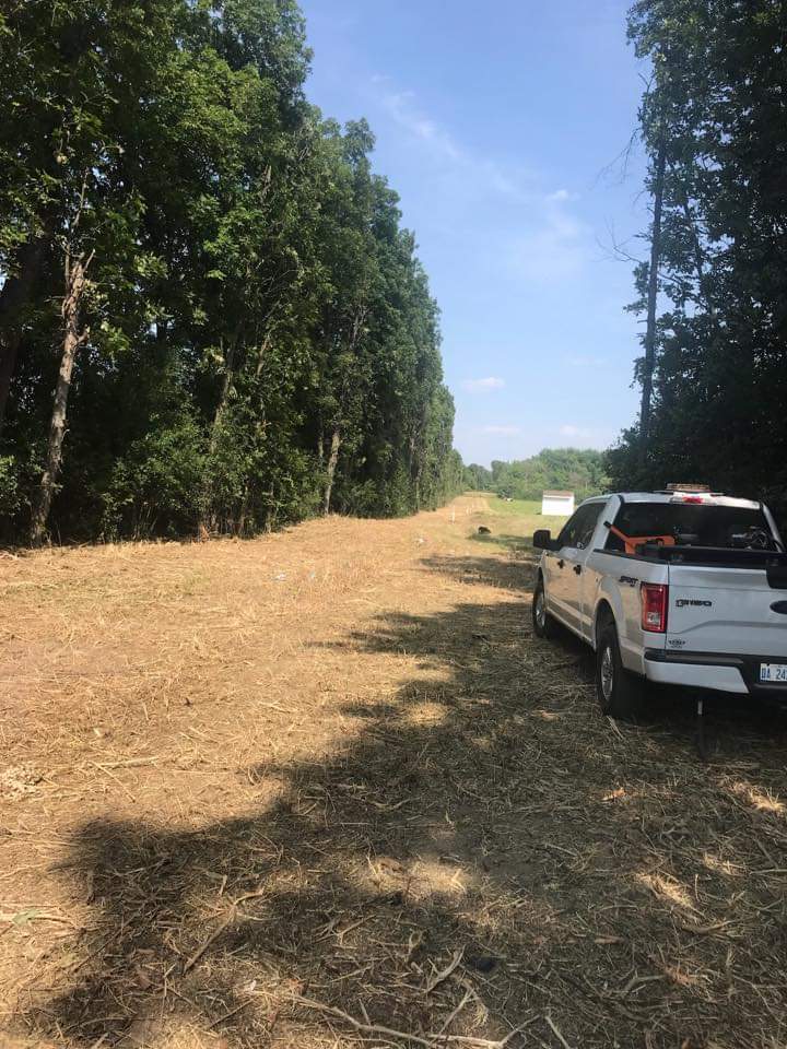 Avatar for R&J tree service