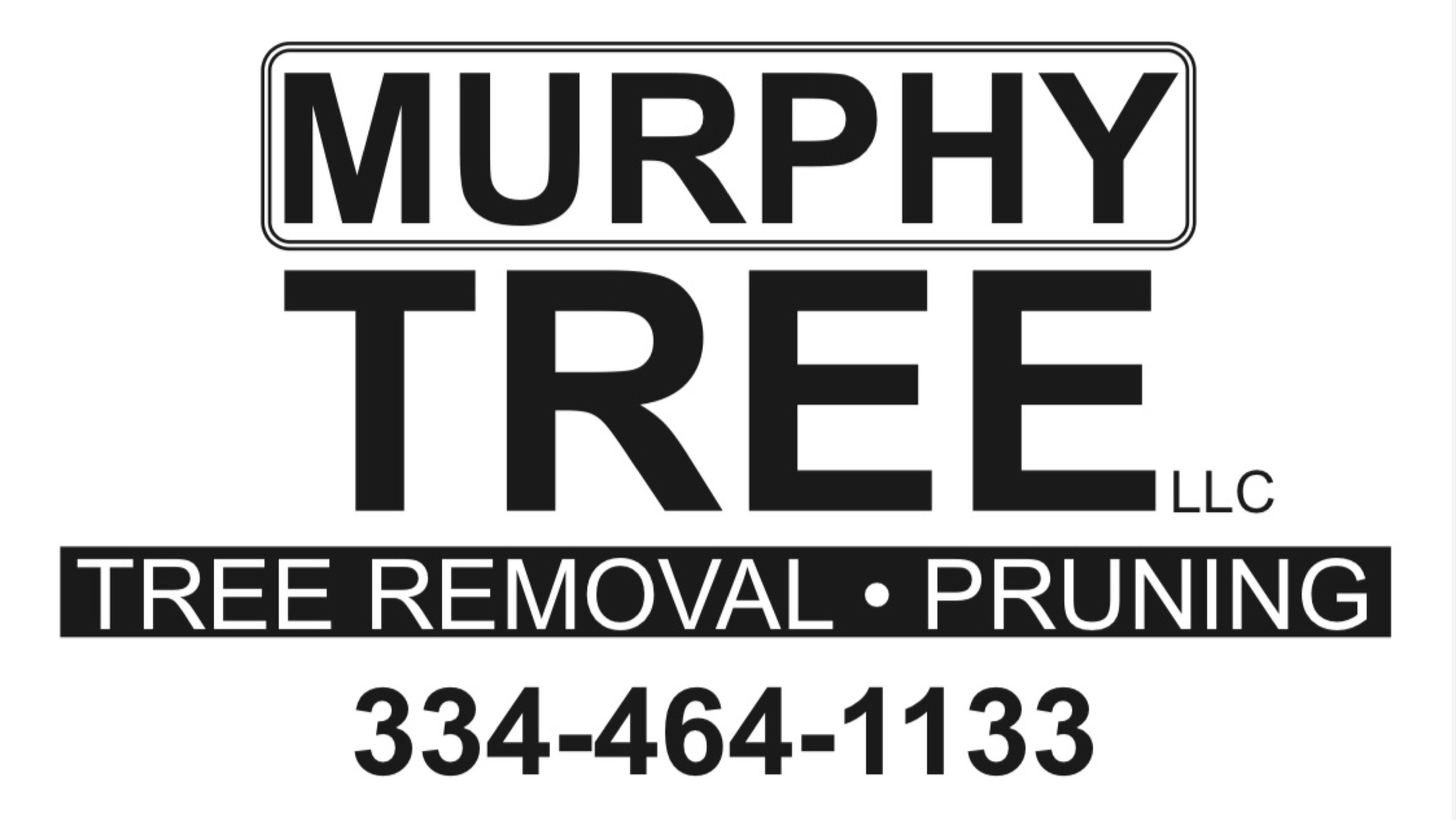 Avatar for Murphy Tree L.L.C.