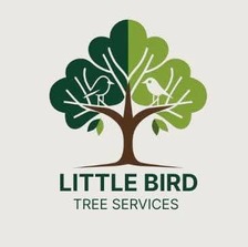Avatar for Little bird tree service