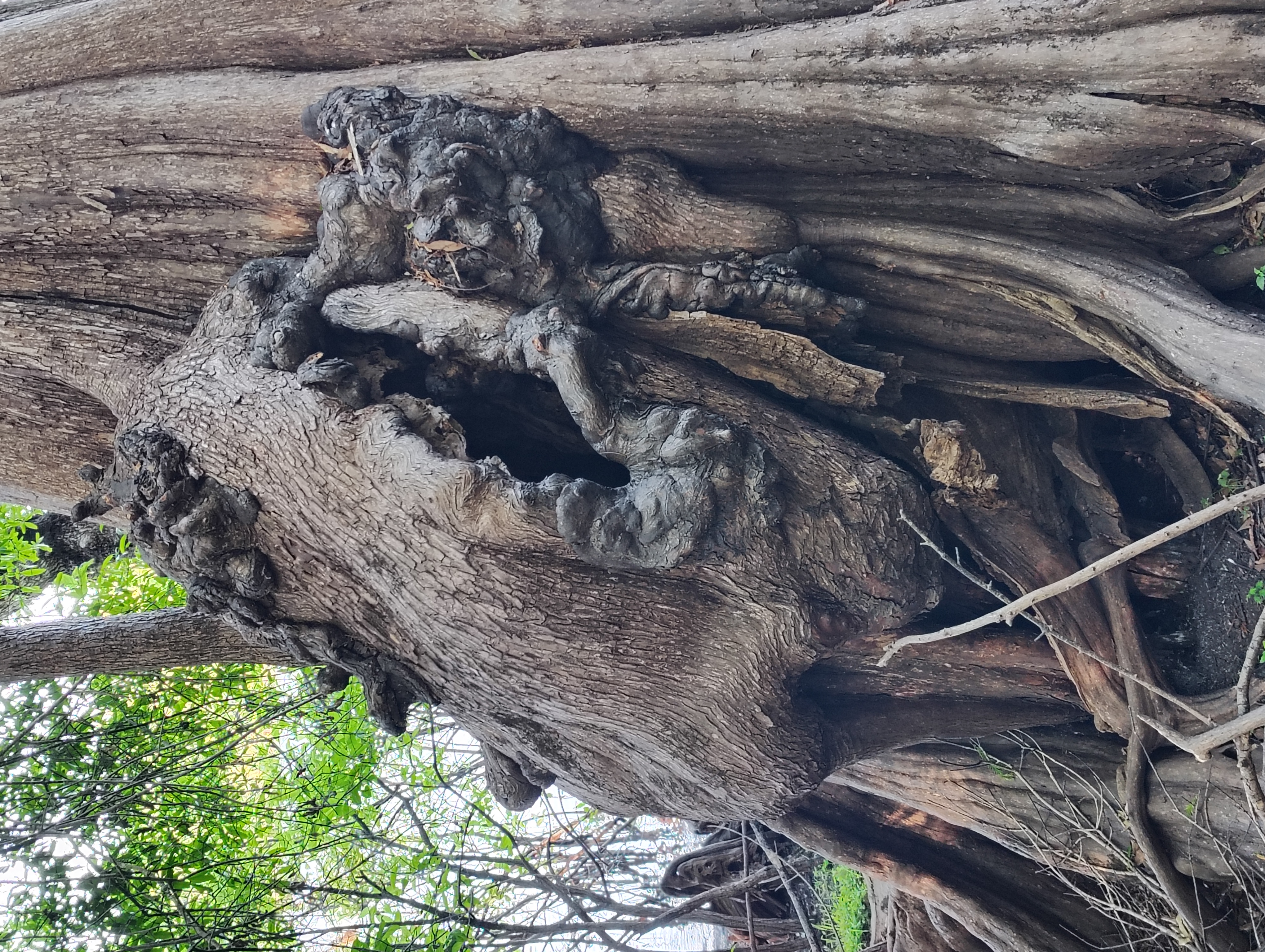 Avatar for Charles hart llc