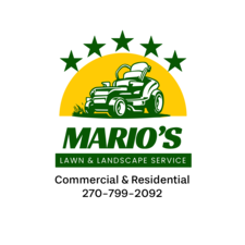 Avatar for Mario.S Land and Landscaping