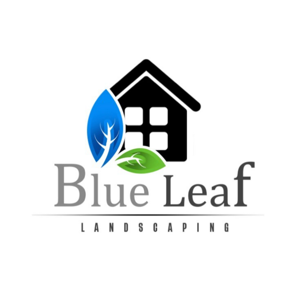 Avatar for Blue Leaf