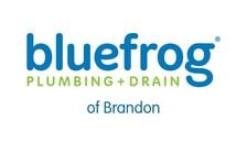 Avatar for Bluefrog Plumbing + Drain of Brandon