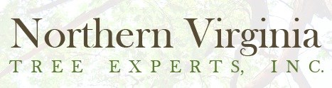 Logo for Northern Virginia Tree Experts Inc