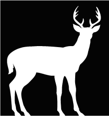 Logo for 8 Point Construction & Remodeling Inc