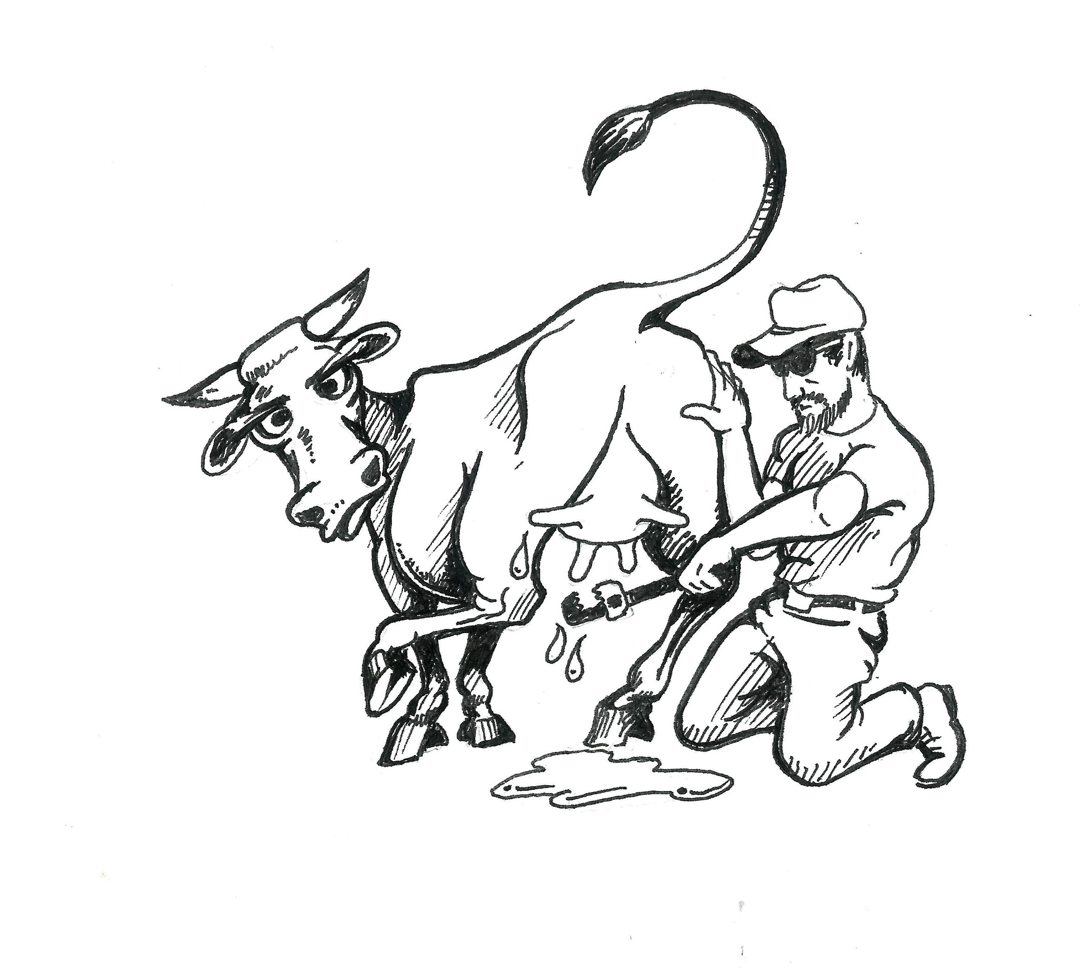 Chris' Plumbing LLC logo