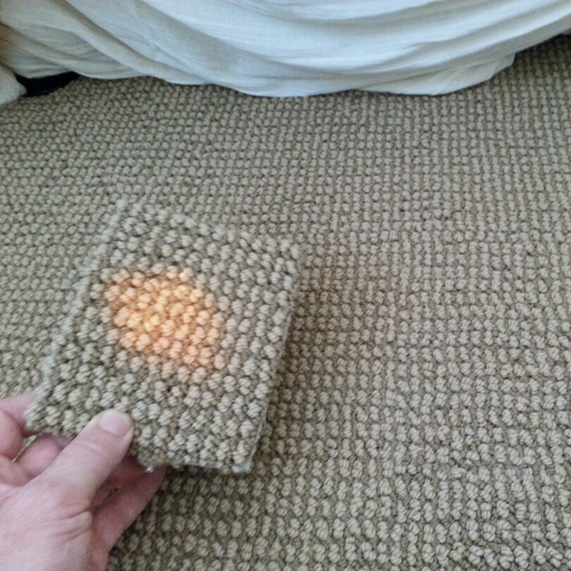 Avatar for Carpet Care Specialists