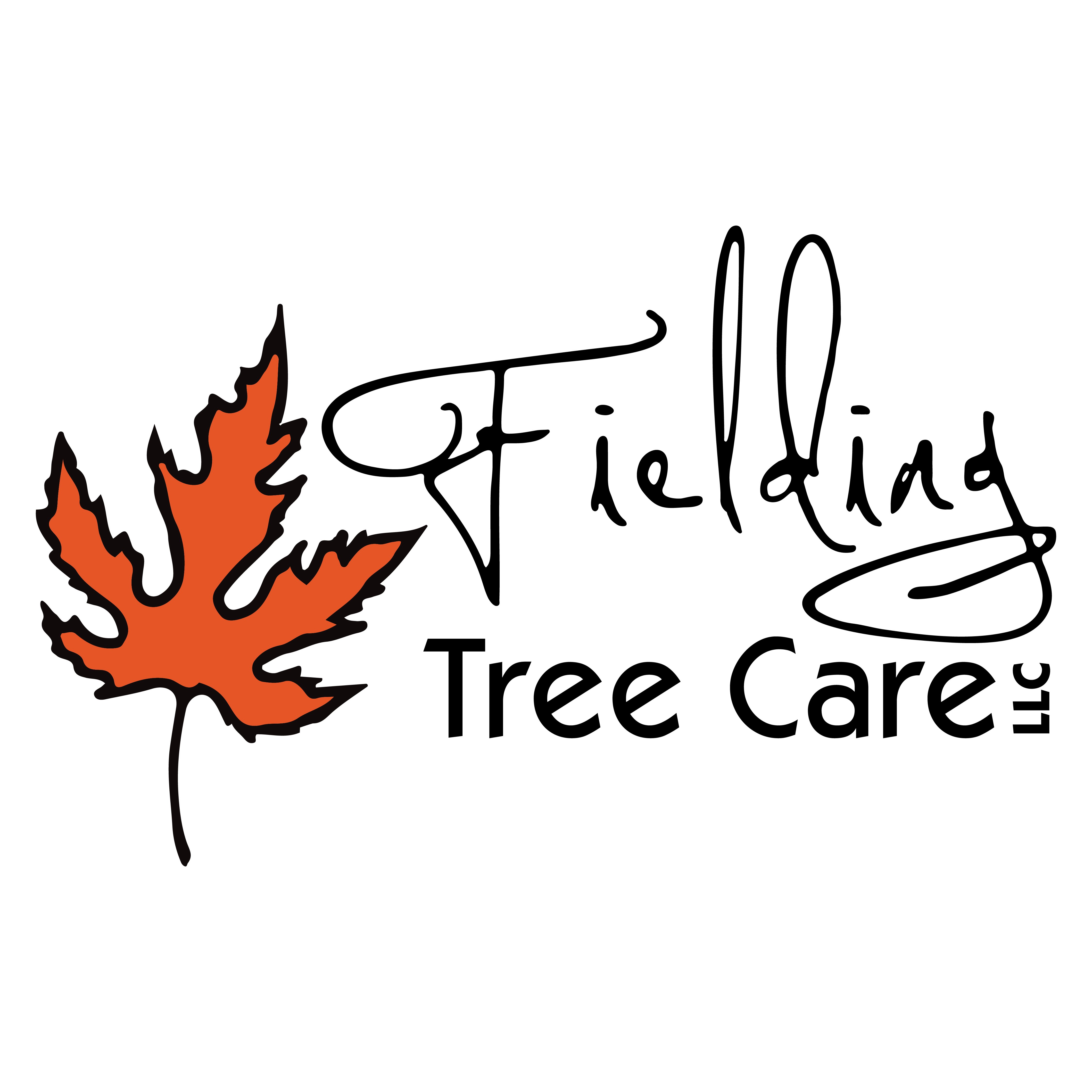Avatar for Fielding Tree Care, LLC