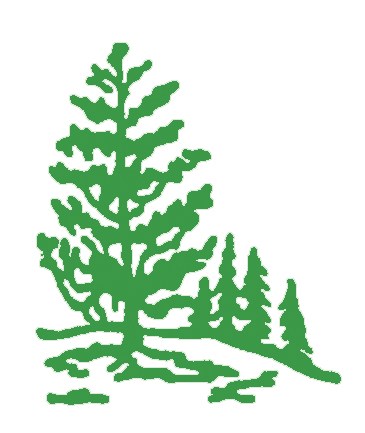 Avatar for Delhi Landscaping Inc